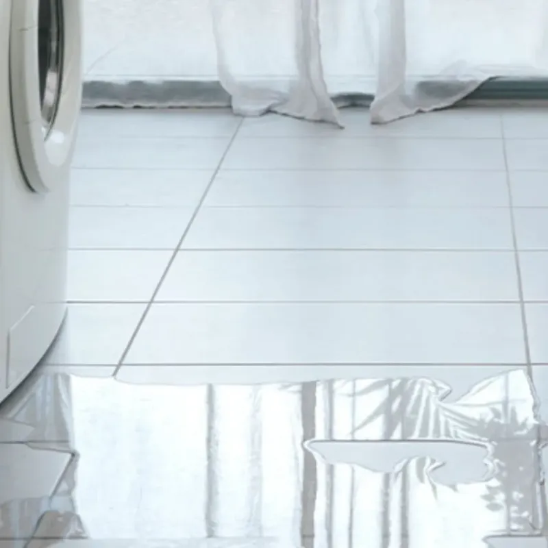 Appliance Leak Cleanup in Ashburn, GA