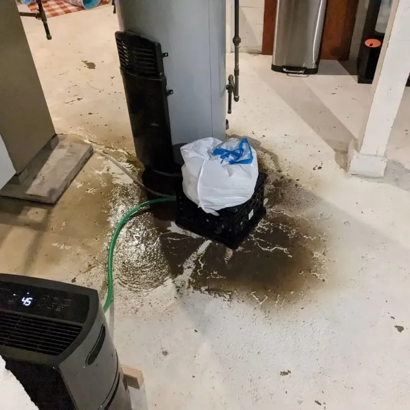 Sewage Backup Cleanup Service in Ashburn, GA